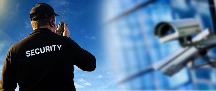 prima-pagina-pambu-security